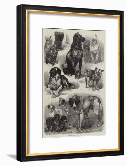 Prize Dogs at the Paris Dog Show-Auguste Andre Lancon-Framed Giclee Print