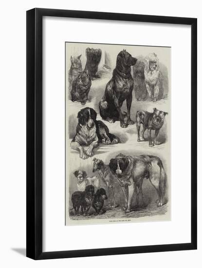 Prize Dogs at the Paris Dog Show-Auguste Andre Lancon-Framed Giclee Print