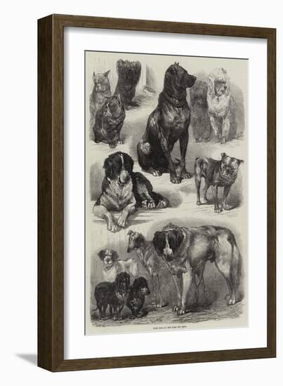 Prize Dogs at the Paris Dog Show-Auguste Andre Lancon-Framed Giclee Print