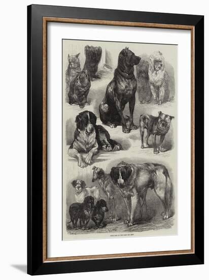 Prize Dogs at the Paris Dog Show-Auguste Andre Lancon-Framed Giclee Print