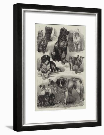 Prize Dogs at the Paris Dog Show-Auguste Andre Lancon-Framed Giclee Print