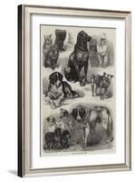 Prize Dogs at the Paris Dog Show-Auguste Andre Lancon-Framed Giclee Print