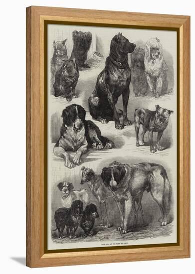 Prize Dogs at the Paris Dog Show-Auguste Andre Lancon-Framed Premier Image Canvas
