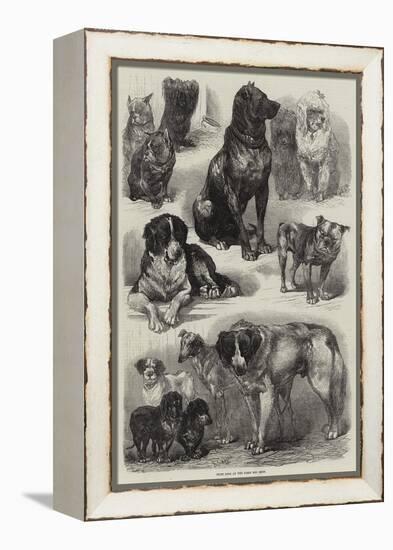 Prize Dogs at the Paris Dog Show-Auguste Andre Lancon-Framed Premier Image Canvas