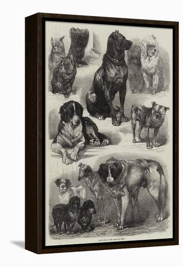 Prize Dogs at the Paris Dog Show-Auguste Andre Lancon-Framed Premier Image Canvas