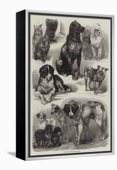 Prize Dogs at the Paris Dog Show-Auguste Andre Lancon-Framed Premier Image Canvas