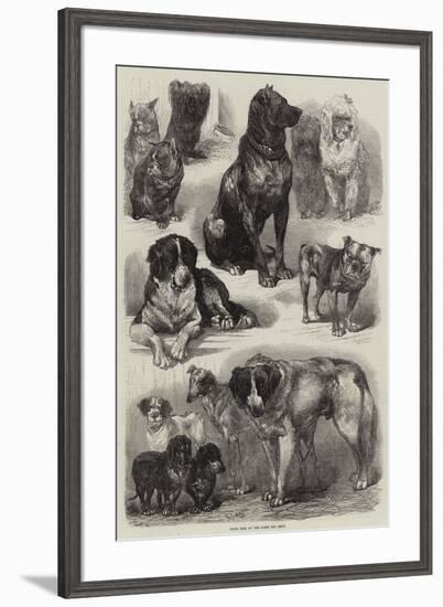 Prize Dogs at the Paris Dog Show-Auguste Andre Lancon-Framed Giclee Print