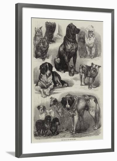 Prize Dogs at the Paris Dog Show-Auguste Andre Lancon-Framed Giclee Print