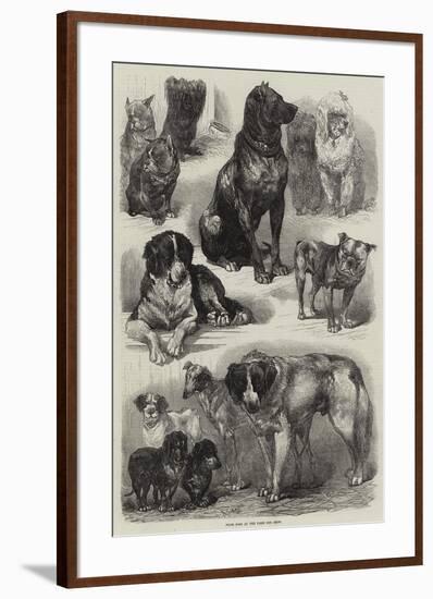 Prize Dogs at the Paris Dog Show-Auguste Andre Lancon-Framed Giclee Print