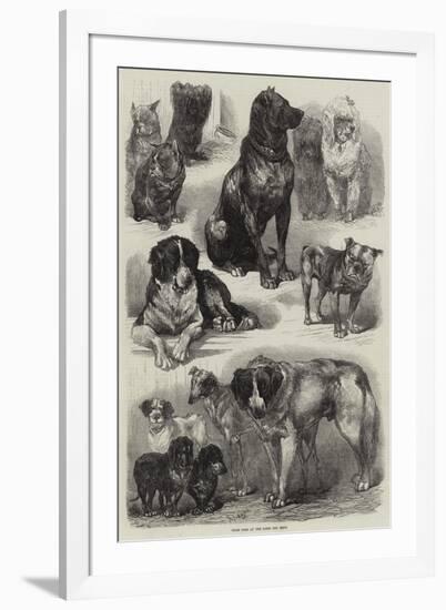 Prize Dogs at the Paris Dog Show-Auguste Andre Lancon-Framed Giclee Print