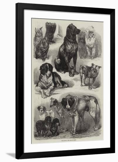 Prize Dogs at the Paris Dog Show-Auguste Andre Lancon-Framed Giclee Print