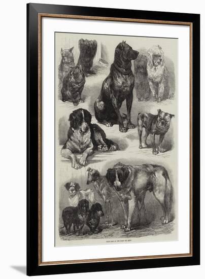 Prize Dogs at the Paris Dog Show-Auguste Andre Lancon-Framed Giclee Print