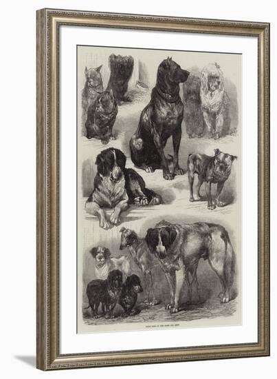 Prize Dogs at the Paris Dog Show-Auguste Andre Lancon-Framed Giclee Print