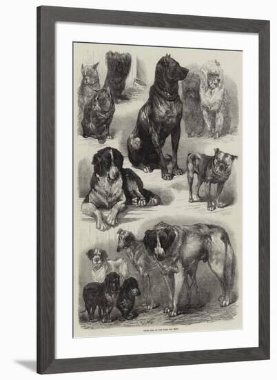 Prize Dogs at the Paris Dog Show-Auguste Andre Lancon-Framed Giclee Print