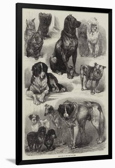 Prize Dogs at the Paris Dog Show-Auguste Andre Lancon-Framed Giclee Print