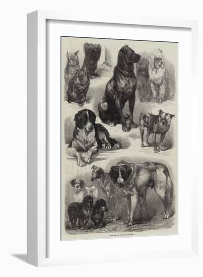 Prize Dogs at the Paris Dog Show-Auguste Andre Lancon-Framed Premium Giclee Print