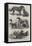 Prize Dogs at the Recent Show, Birmingham-Harrison William Weir-Framed Premier Image Canvas