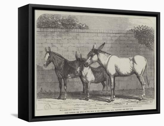 Prize Donkeys and Mule at the Show in the Agricultural Hall, Islington-null-Framed Premier Image Canvas