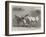 Prize Donkeys and Mule at the Show in the Agricultural Hall, Islington-null-Framed Giclee Print