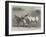 Prize Donkeys and Mule at the Show in the Agricultural Hall, Islington-null-Framed Giclee Print