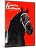 "Prize Draft Horse," Country Gentleman Cover, September 1, 1944-Salvadore Pinto-Mounted Giclee Print