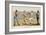 Prize Fight-Henry Thomas Alken-Framed Giclee Print