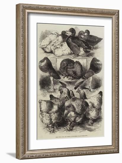 Prize Fowls, Ducks, and Pigeons at the Crystal Palace Poultry Show-Harrison William Weir-Framed Giclee Print