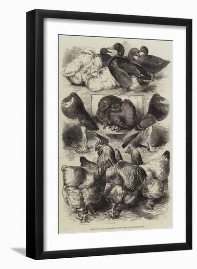 Prize Fowls, Ducks, and Pigeons at the Crystal Palace Poultry Show-Harrison William Weir-Framed Giclee Print