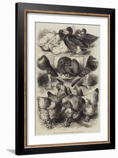 Prize Fowls, Ducks, and Pigeons at the Crystal Palace Poultry Show-Harrison William Weir-Framed Giclee Print