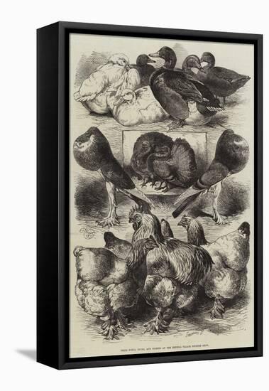 Prize Fowls, Ducks, and Pigeons at the Crystal Palace Poultry Show-Harrison William Weir-Framed Premier Image Canvas