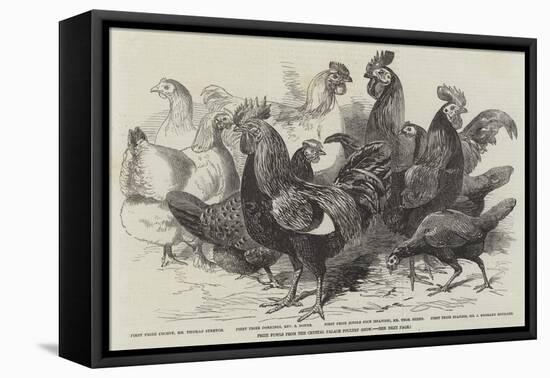Prize Fowls from the Crystal Palace Poultry Show-null-Framed Premier Image Canvas