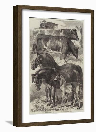 Prize Horses and Cattle at the Oxford Meeting of the Royal Agricultural Society-Samuel John Carter-Framed Giclee Print