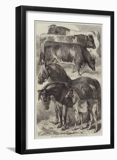 Prize Horses and Cattle at the Oxford Meeting of the Royal Agricultural Society-Samuel John Carter-Framed Giclee Print