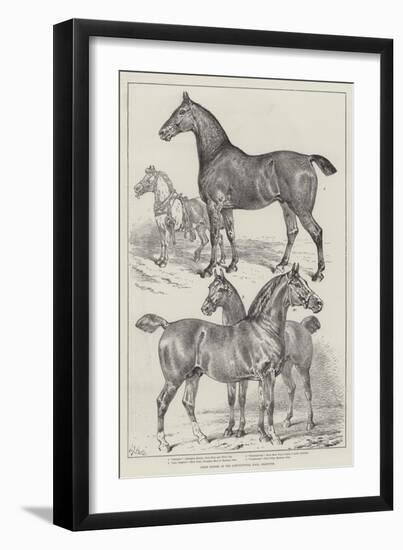 Prize Horses at the Agricultural Hall, Islington-Samuel John Carter-Framed Giclee Print