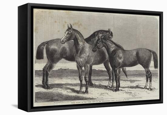 Prize Horses at the Horse Show in the Agricultural Hall, Islington-Harrison William Weir-Framed Premier Image Canvas