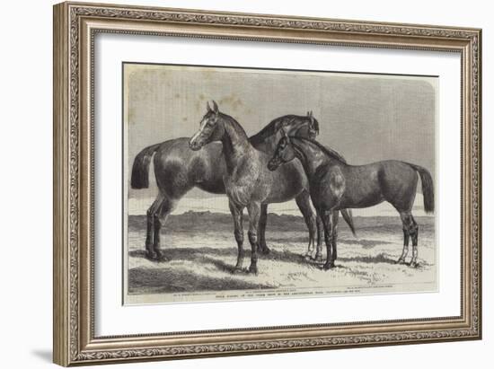 Prize Horses at the Horse Show in the Agricultural Hall, Islington-Harrison William Weir-Framed Giclee Print