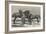 Prize Horses at the Horse Show in the Agricultural Hall, Islington-Harrison William Weir-Framed Giclee Print