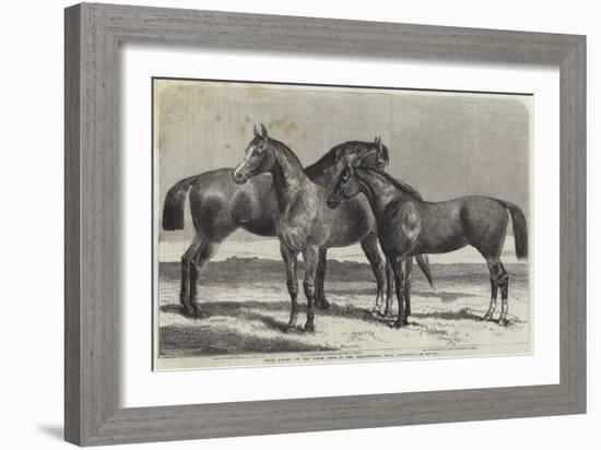 Prize Horses at the Horse Show in the Agricultural Hall, Islington-Harrison William Weir-Framed Giclee Print