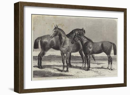 Prize Horses at the Horse Show in the Agricultural Hall, Islington-Harrison William Weir-Framed Giclee Print