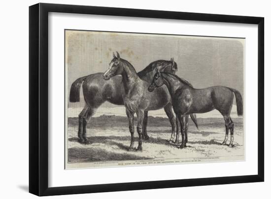 Prize Horses at the Horse Show in the Agricultural Hall, Islington-Harrison William Weir-Framed Giclee Print