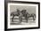 Prize Horses at the Horse Show in the Agricultural Hall, Islington-Harrison William Weir-Framed Giclee Print