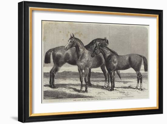 Prize Horses at the Horse Show in the Agricultural Hall, Islington-Harrison William Weir-Framed Giclee Print