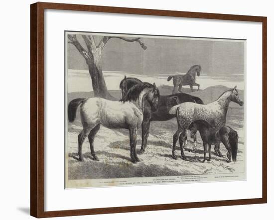 Prize Horses at the Horse Show in the Agricultural Hall, Islington-Harrison William Weir-Framed Giclee Print