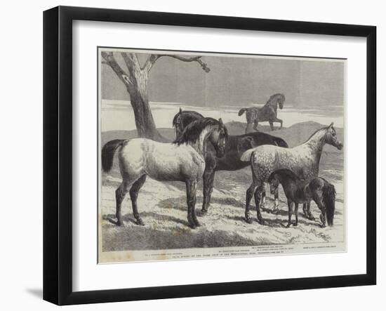 Prize Horses at the Horse Show in the Agricultural Hall, Islington-Harrison William Weir-Framed Giclee Print