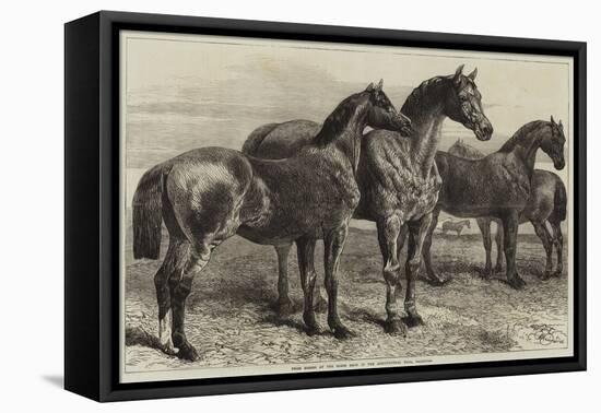 Prize Horses at the Horse Show in the Agricultural Hall, Islington-Harrison William Weir-Framed Premier Image Canvas