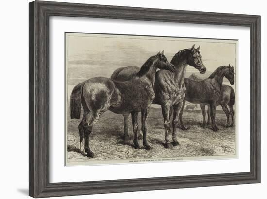 Prize Horses at the Horse Show in the Agricultural Hall, Islington-Harrison William Weir-Framed Giclee Print