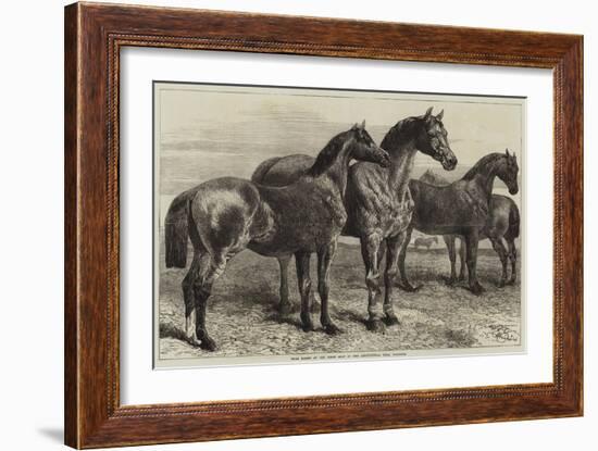 Prize Horses at the Horse Show in the Agricultural Hall, Islington-Harrison William Weir-Framed Giclee Print