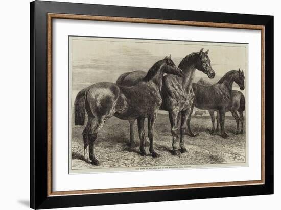 Prize Horses at the Horse Show in the Agricultural Hall, Islington-Harrison William Weir-Framed Giclee Print