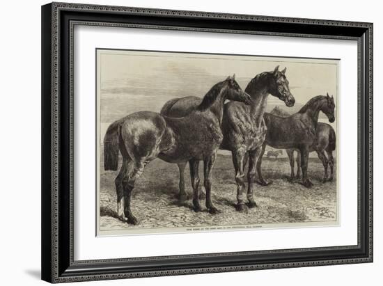 Prize Horses at the Horse Show in the Agricultural Hall, Islington-Harrison William Weir-Framed Giclee Print