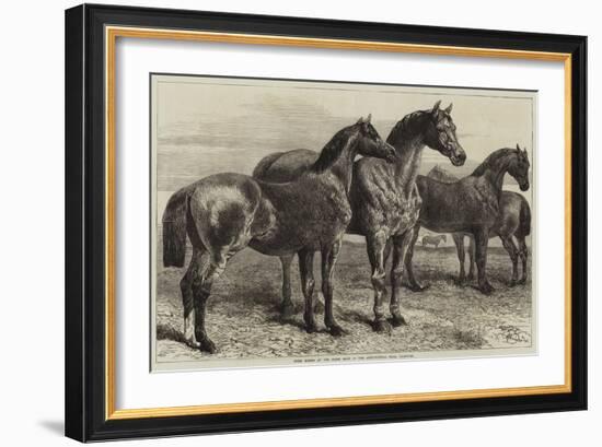 Prize Horses at the Horse Show in the Agricultural Hall, Islington-Harrison William Weir-Framed Giclee Print